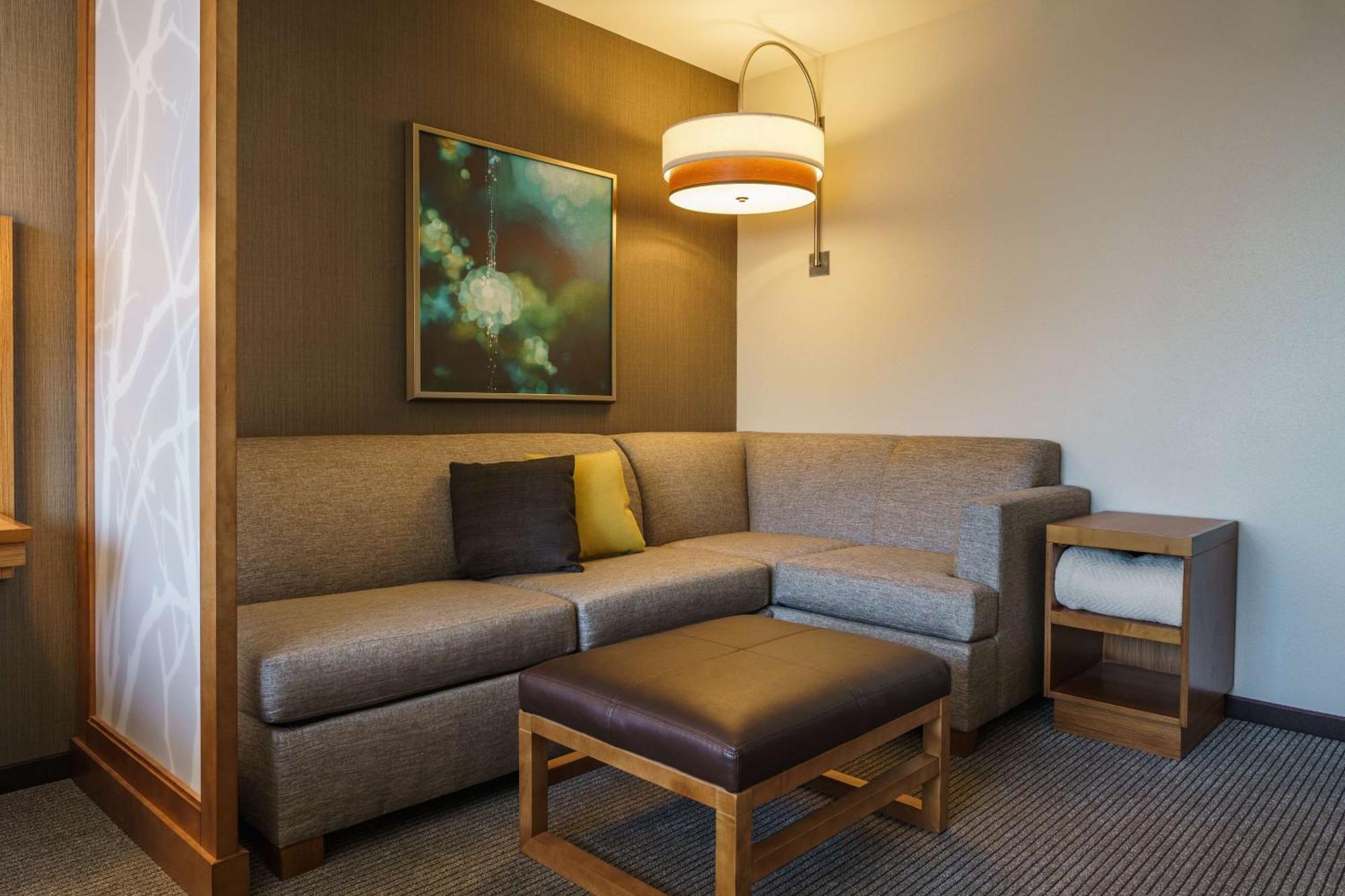 King Room Sofa Bed