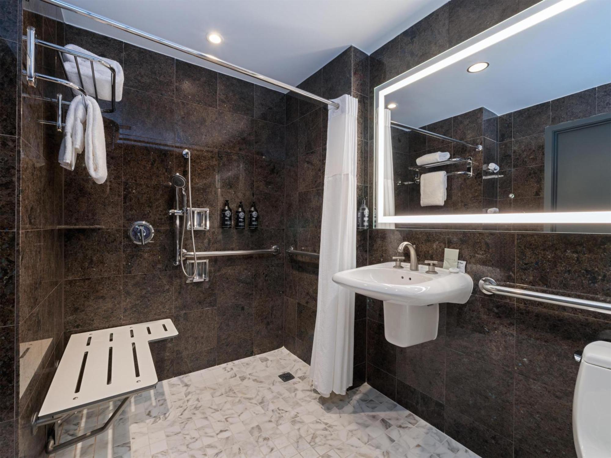 Deluxe King Room Roll Shower Mobility Hearing Access or Non-Smoking