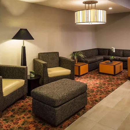 Hyatt House Houston/Energy Corridor-2