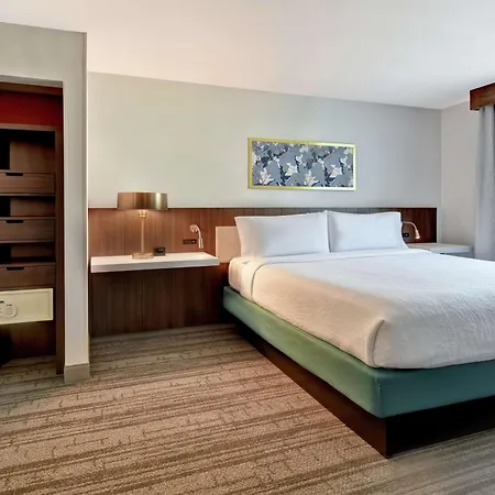 Hilton Garden Inn Houston/Galleria Area-2