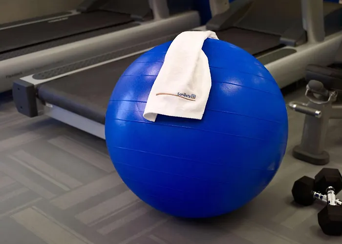 Pet Friendly Hotels HoustonSonesta Es Suites Galleria