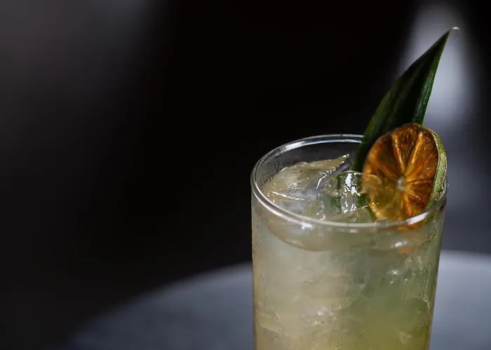 Pet Friendly Hotels HoustonMoxy Downtown