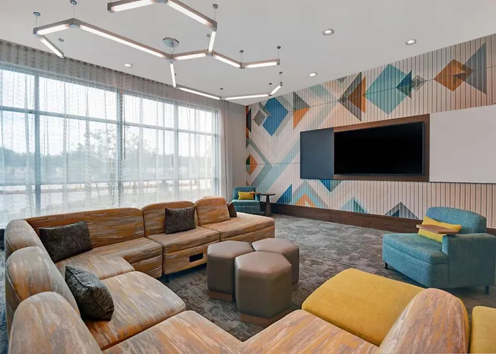 Hilton Garden Inn Houston Medical Center, Tx