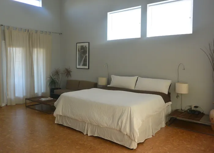 Modern B & B Houston